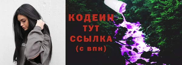 шишки Гусь-Хрустальный