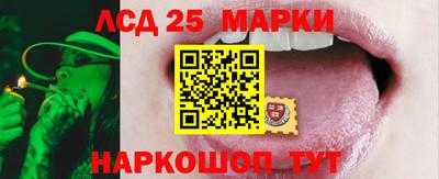 PSILOCYBIN Берёзовский