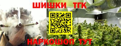 индика Беслан