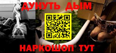индика Беслан