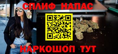 индика Беслан