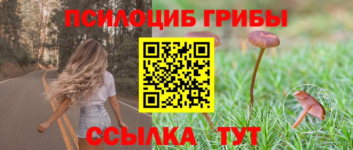 Псилоцибиновые грибы мицелий Гагарин