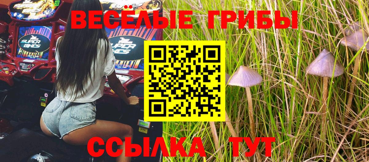 Галлюциногенные грибы мухоморы  Вход с VPN  Гагарин 